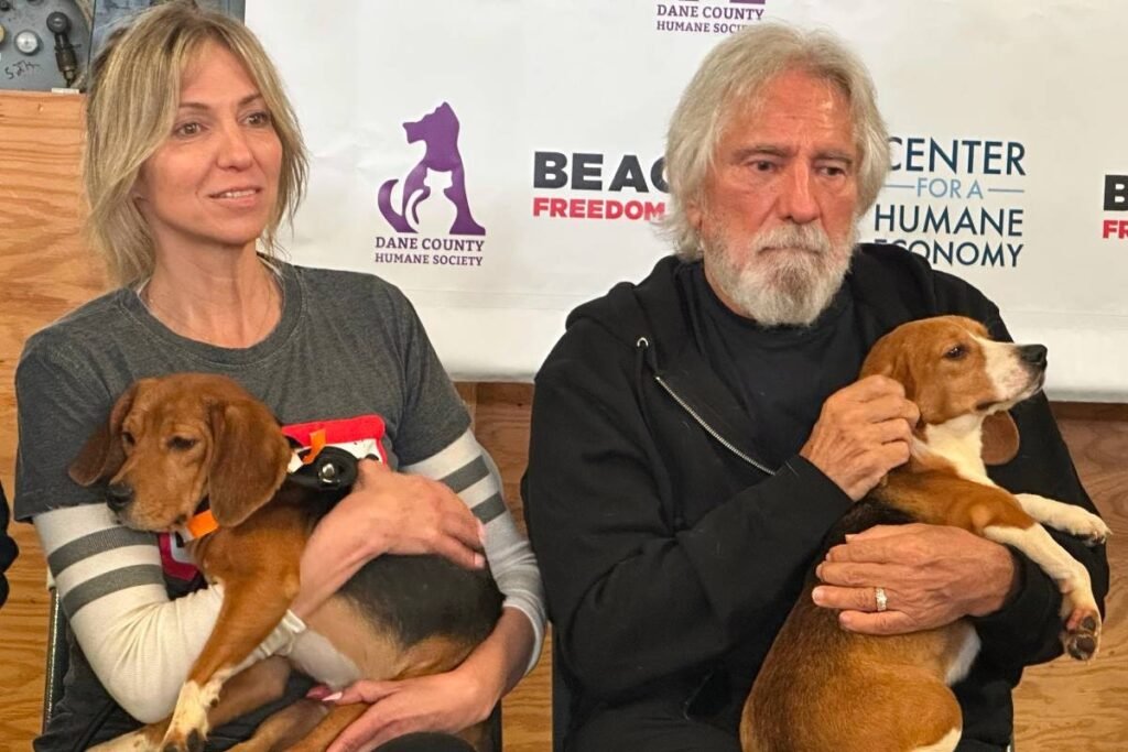 Black Sabbath bass player, Debbie Gibson praise effort to find new homes for beagles